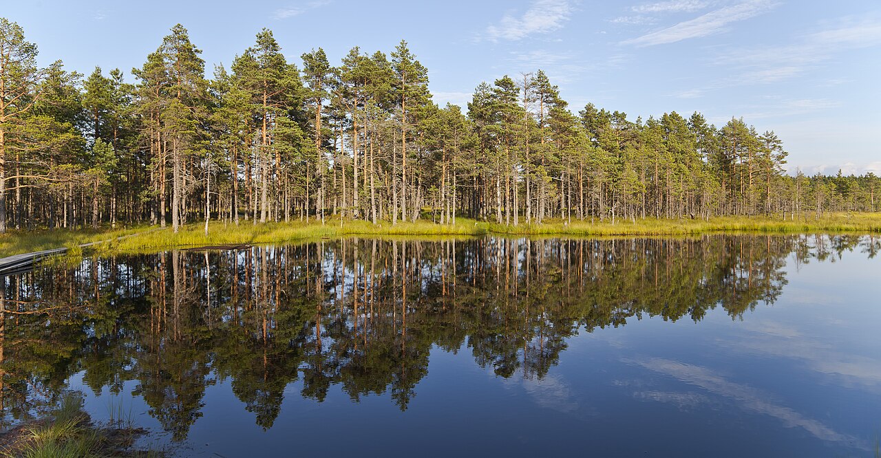 Viru bog, Lahemaa