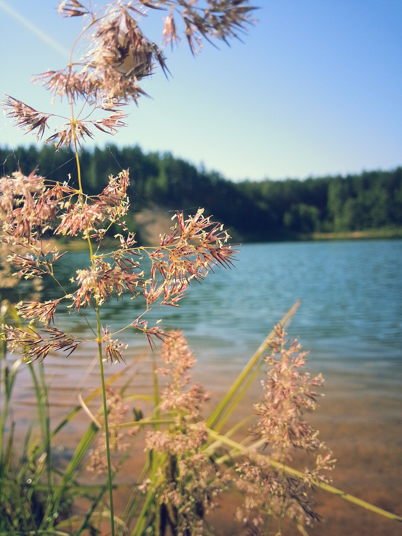 Dubkalnu quarry lake, Ogre Blue Hills